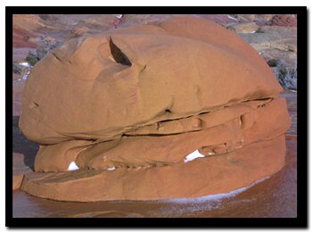 Hamburger shaped rock at North Coyote Buttes by the Wave