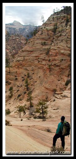 East side of Zion National Park: Zion-Mt. Carmel Highway